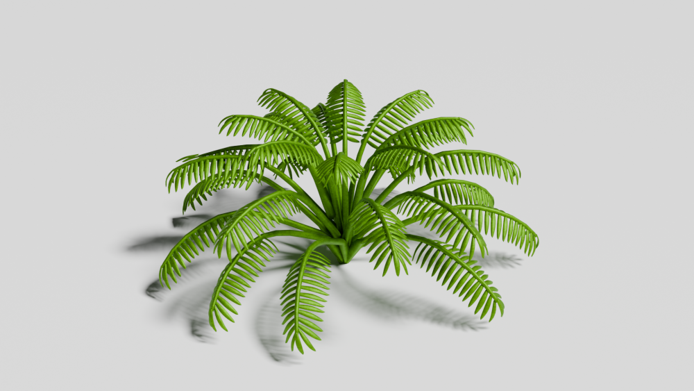 Fern3.png