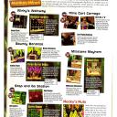 Issue139(DKC-GBC)d