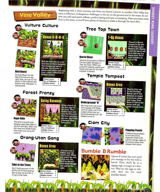 Issue139(DKC-GBC)e