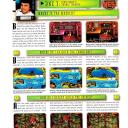 Issue94(DKC3-SNES)k