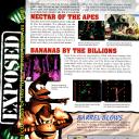 Issue65(DKC-SNES)i