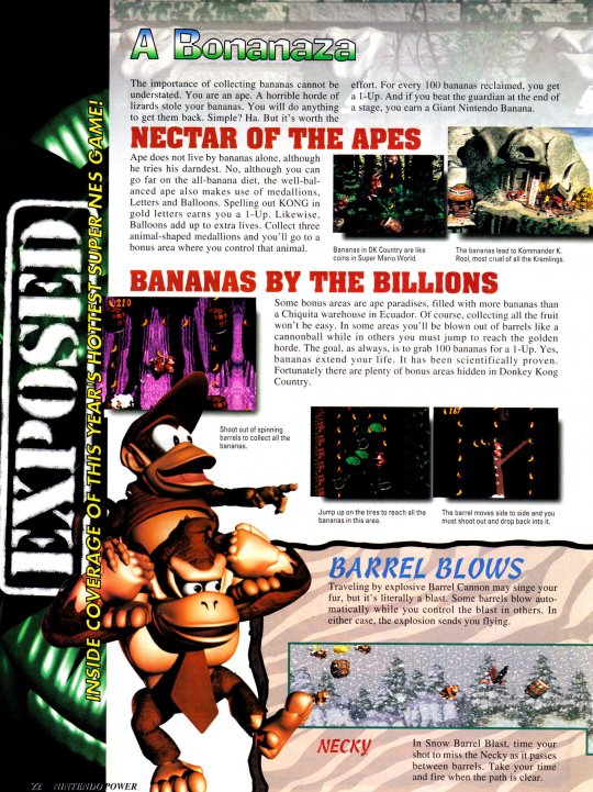 Issue65(DKC-SNES)i