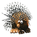 Spiny(small)